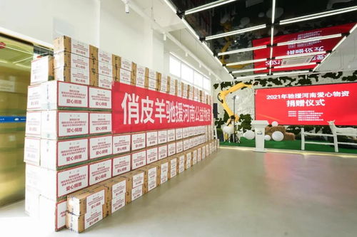 馳援河南，俏皮羊在行動 微光匯聚，風雨同舟